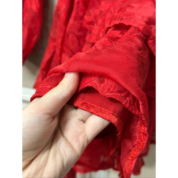 NWOT Hello Molly I Heard A Rumour Red Fiere Embroidered Ruffled Mini Dress XS - Picture 5 of 13